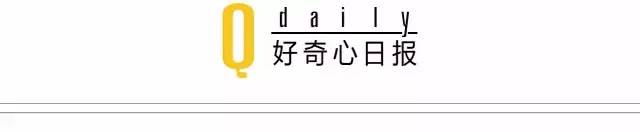 泄露隐私需要承担什么责任_imToken官方下载中的用户隐私保护策略，确保您的个人信息安全不被泄露。_泄露隐私包括什么