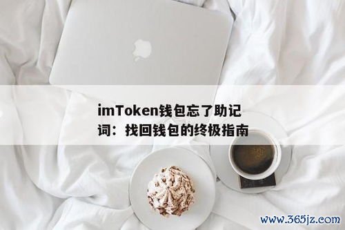 im钱包的安全措施及其对用户的重要性_钱包的重要性_钱包需求