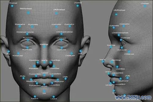 数字货币的隐私保护条款与用户指南_数字货币隐私_隐私加密货币